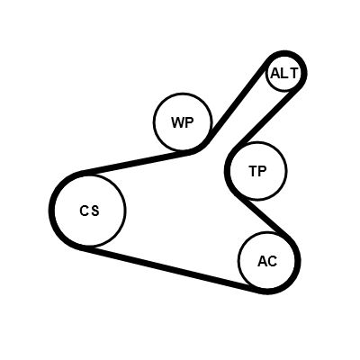 CONTINENTAL CTAM 7PK1145K1 V-ribbed Belt Set