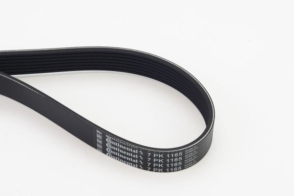 CONTINENTAL CTAM 7PK1165 V-Ribbed Belt