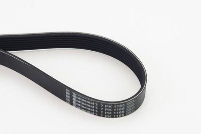 V-Ribbed Belt CONTINENTAL CTAM 7PK1165