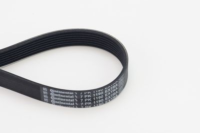 V-Ribbed Belt CONTINENTAL CTAM 7PK1190 EXTRA