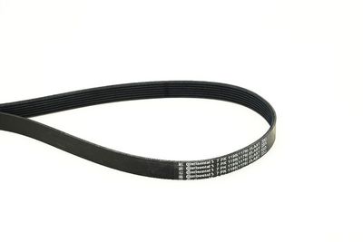 V-ribbed Belt CONTINENTAL CTAM 7PK1195 ELAST