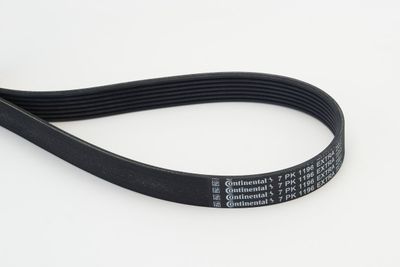 V-Ribbed Belt CONTINENTAL CTAM 7PK1196 EXTRA