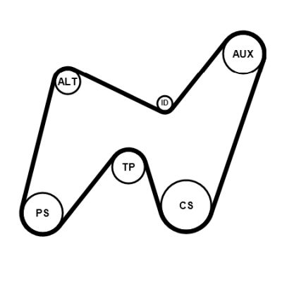 V-ribbed Belt Set CONTINENTAL CTAM 7PK1325K1
