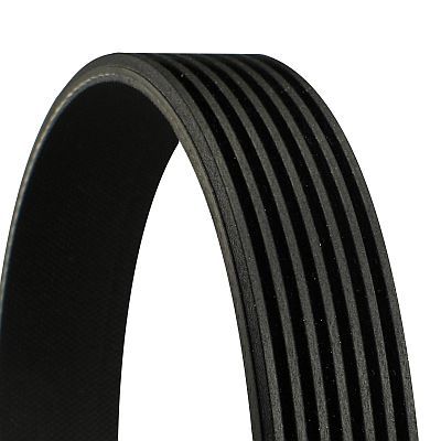 CONTINENTAL CTAM 7PK1350 V-ribbed Belt