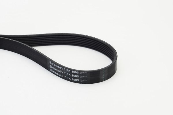 CONTINENTAL CTAM 7PK1605 V-Ribbed Belt