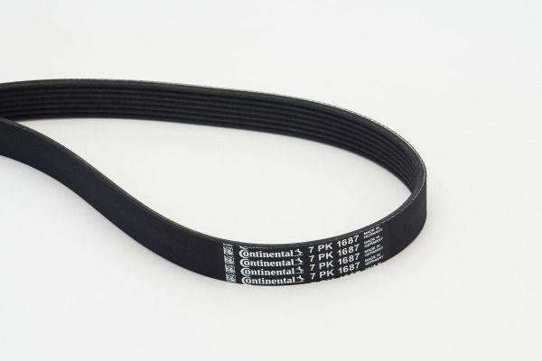 CONTINENTAL CTAM 7PK1687 V-Ribbed Belt