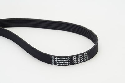 V-Ribbed Belt CONTINENTAL CTAM 7PK1687