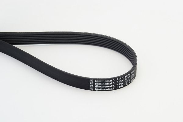 CONTINENTAL CTAM 7PK1970 V-Ribbed Belt