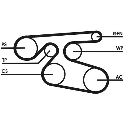CONTINENTAL CTAM 7PK2000 V-Ribbed Belt