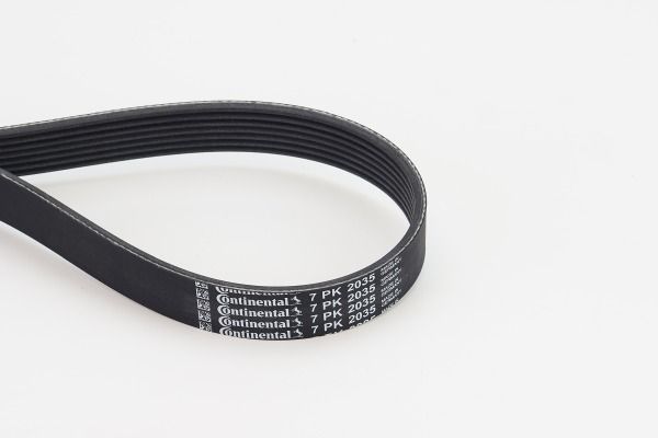 CONTINENTAL CTAM 7PK2035 V-Ribbed Belt