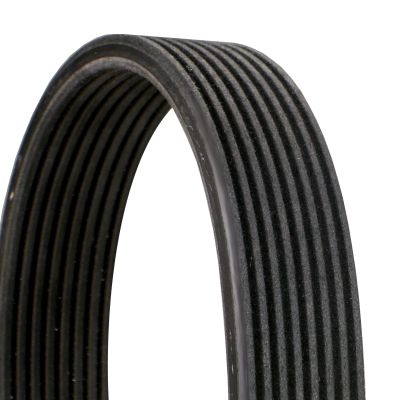 CONTINENTAL CTAM 8DPK1827 V-Ribbed Belt