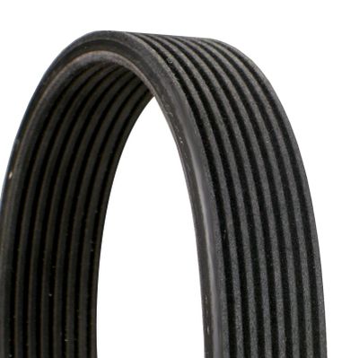 V-Ribbed Belt CONTINENTAL CTAM 8DPK1827
