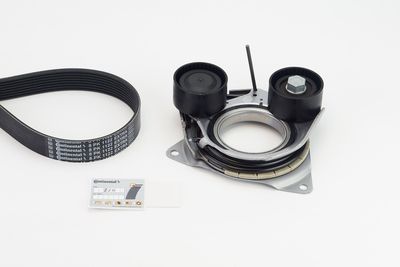 V-ribbed Belt Set CONTINENTAL CTAM 8PK1122 EXTRA K1