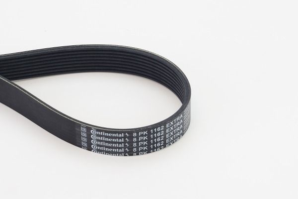 CONTINENTAL CTAM 8PK1162 EXTRA V-Ribbed Belt