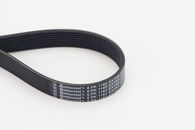 V-Ribbed Belt CONTINENTAL CTAM 8PK1162 EXTRA