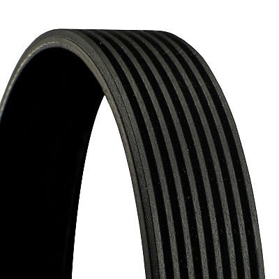 CONTINENTAL CTAM 8PK1646 V-ribbed Belt