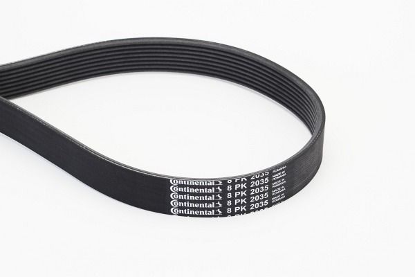 CONTINENTAL CTAM 8PK2035 V-Ribbed Belt