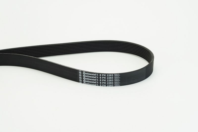 CONTINENTAL CTAM 8PK2283 V-ribbed Belt