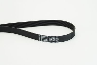 V-ribbed Belt CONTINENTAL CTAM 8PK2283