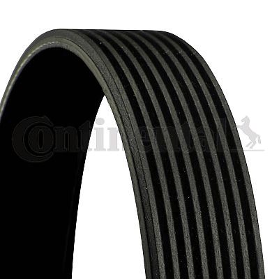 CONTINENTAL CTAM 8PK2342 V-Ribbed Belt