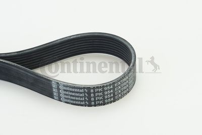V-Ribbed Belt CONTINENTAL CTAM 8PK954 EXTRA