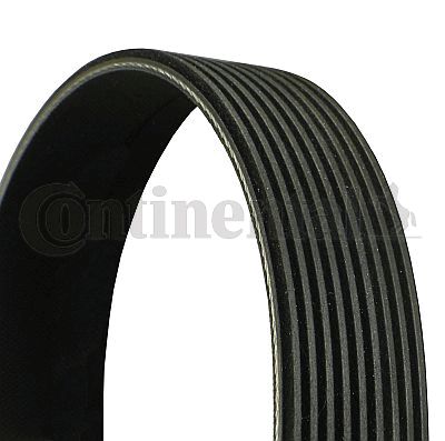 CONTINENTAL CTAM 9PK1785 V-Ribbed Belt