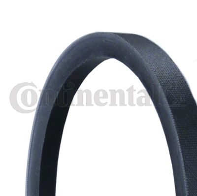 V-Belt CONTINENTAL CTAM AVP13X2650