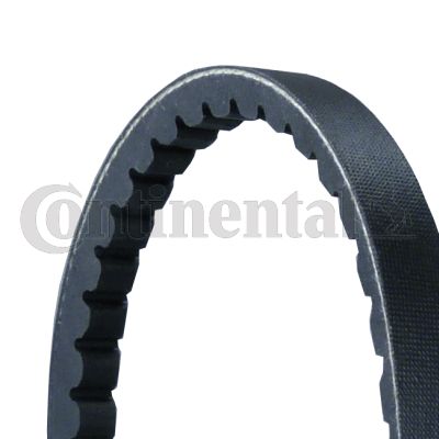 V-Belt CONTINENTAL CTAM AVX13X2200