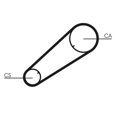 Timing Belt CONTINENTAL CTAM CT1004