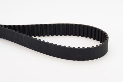 Timing Belt CONTINENTAL CTAM CT1016