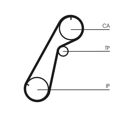 Timing Belt CONTINENTAL CTAM CT1020