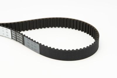 Timing Belt CONTINENTAL CTAM CT1023