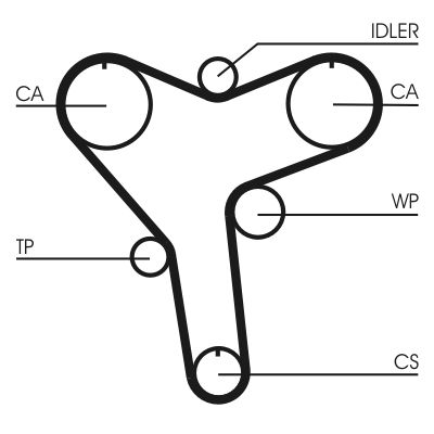 Timing Belt CONTINENTAL CTAM CT1029