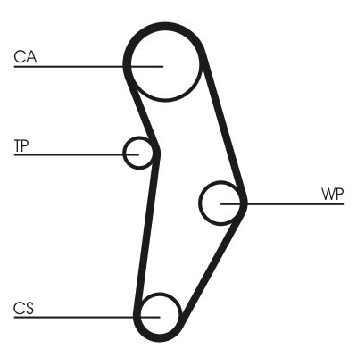 CONTINENTAL CTAM CT1049WP2 Water Pump & Timing Belt Kit