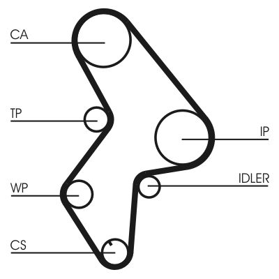 CONTINENTAL CTAM CT1061WP3 Water Pump & Timing Belt Kit