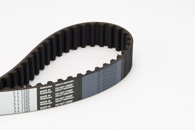 Timing Belt CONTINENTAL CTAM CT1092
