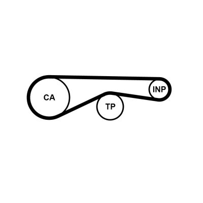 Timing Belt CONTINENTAL CTAM CT1095