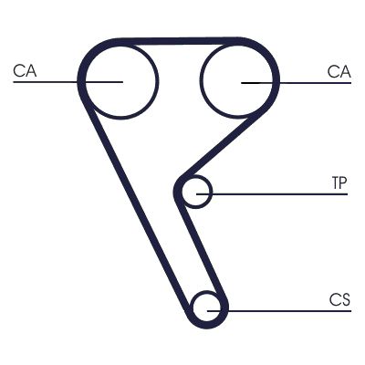 Timing Belt CONTINENTAL CTAM CT1157