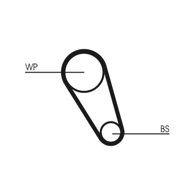 CONTINENTAL CTAM CT1185WP4 Water Pump & Timing Belt Kit