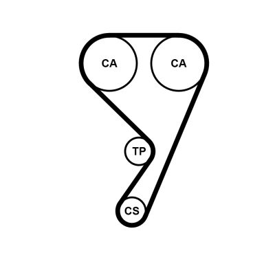 CONTINENTAL CTAM CT1211WP1 Water Pump & Timing Belt Kit