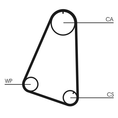 Timing Belt CONTINENTAL CTAM CT504