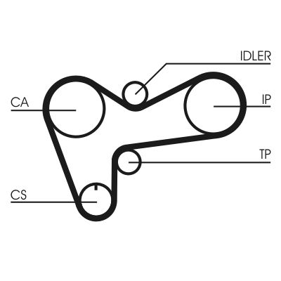 Timing Belt CONTINENTAL CTAM CT508