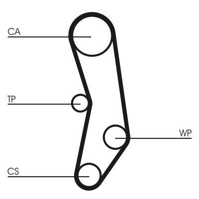 Timing Belt CONTINENTAL CTAM CT515