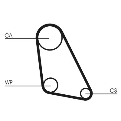 Timing Belt CONTINENTAL CTAM CT534