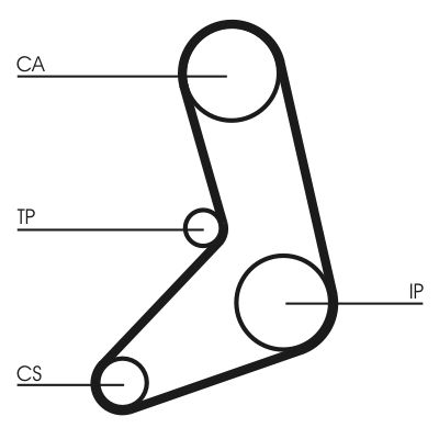 Timing Belt CONTINENTAL CTAM CT542