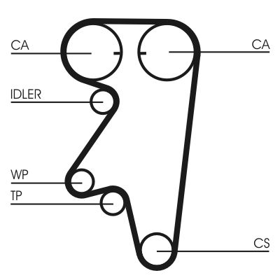 Timing Belt CONTINENTAL CTAM CT543