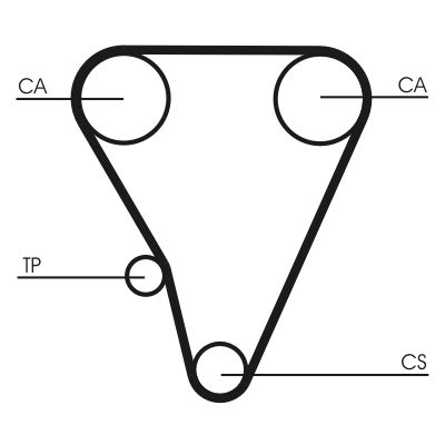 Timing Belt CONTINENTAL CTAM CT555