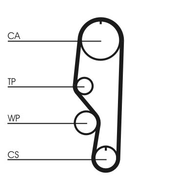 Timing Belt CONTINENTAL CTAM CT557