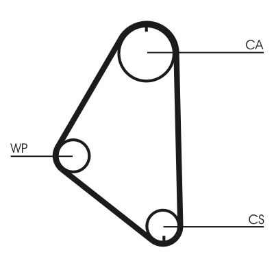 CONTINENTAL CTAM CT558WP1 Water Pump & Timing Belt Kit
