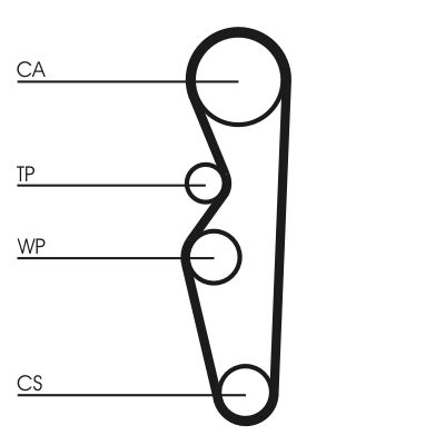CONTINENTAL CTAM CT576 Timing Belt